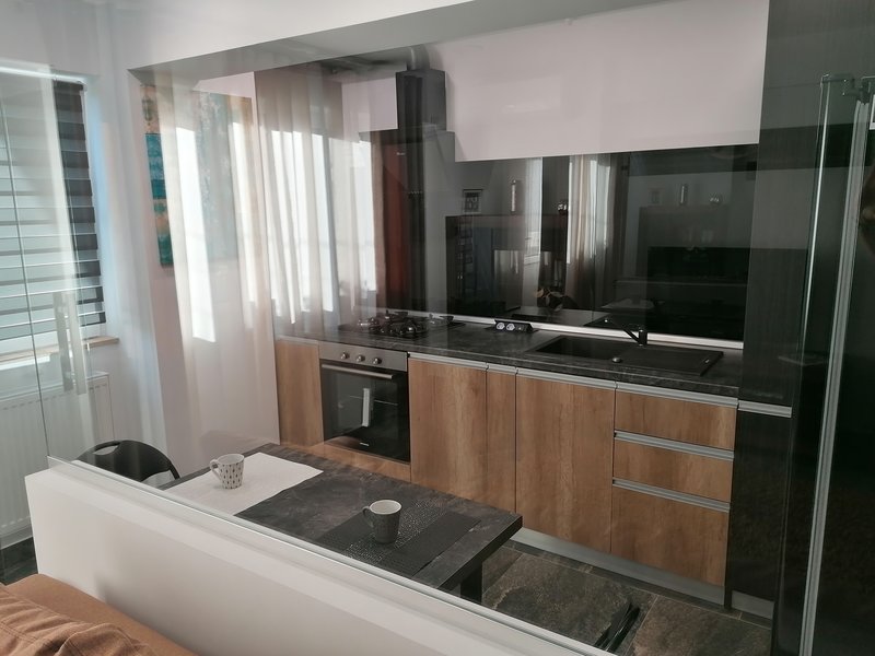 Nicolae Grigorescu, zona Salajan, apartament de inchiriat 2 camere + curte